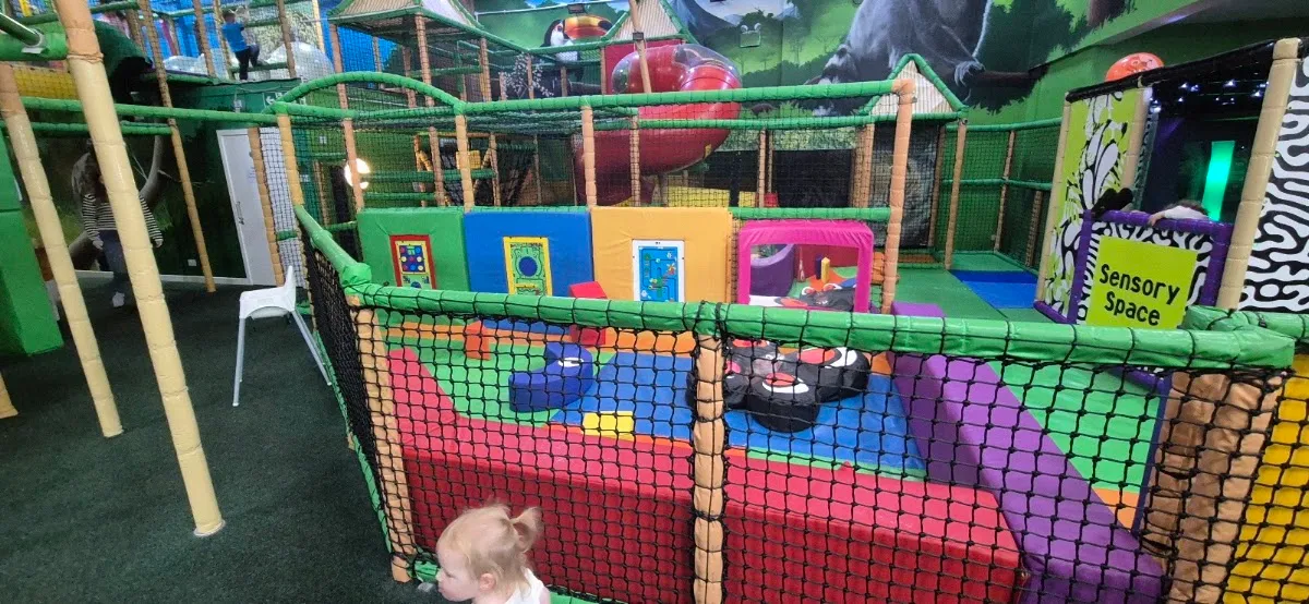 Rainforest Adventure Motherwell