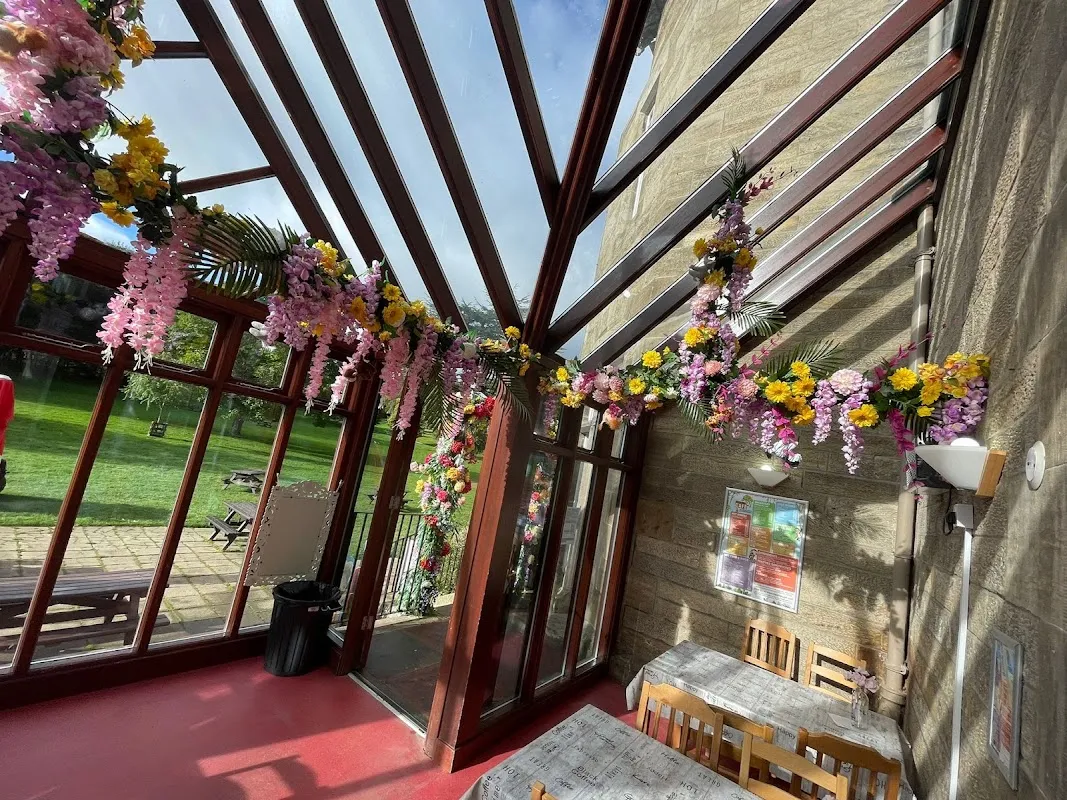 Tree Top Café